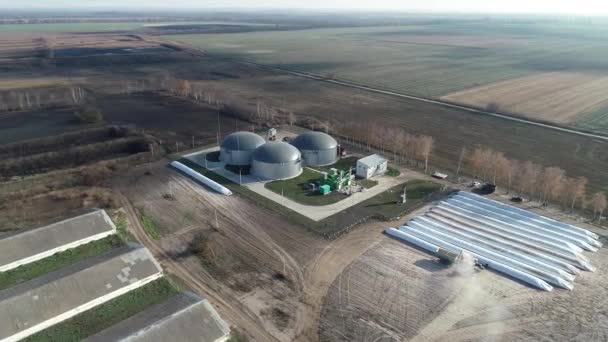 Bio-növény a mezők a villamos energia feldolgozás shtkhodov — Stock videók