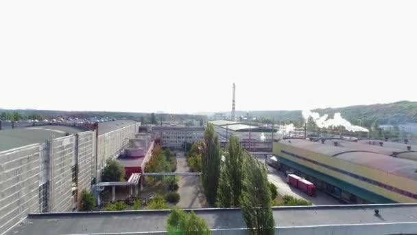 Le territoire de l'usine d'une hauteur — Video