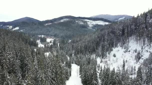 Montañas nevadas y bosques tomados del dron desde el aire — Vídeo de stock