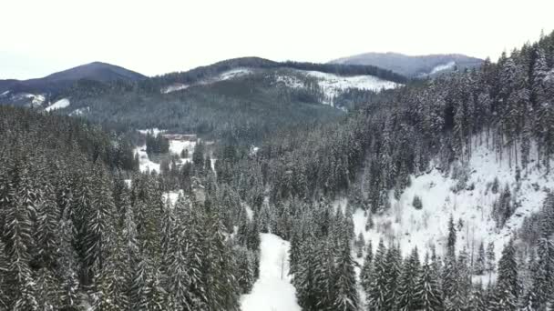 Besneeuwde bergen en bossen die zijn ontleend aan de drone vanuit de lucht — Stockvideo