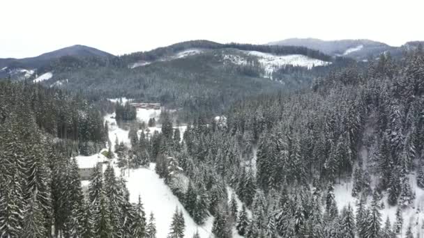 Montañas Cubiertas Nieve Bosques Tomados Del Dron Desde Aire Video — Vídeos de Stock