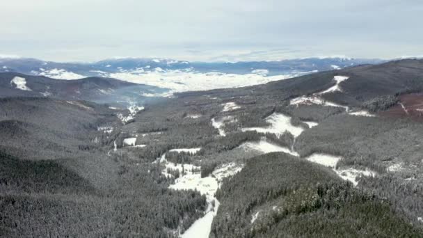 눈 산 및 숲 공기에서 무인 항공기에서 찍은 — 비디오