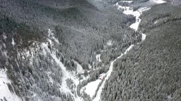 Montañas nevadas y bosques tomados del dron desde el aire — Vídeos de Stock