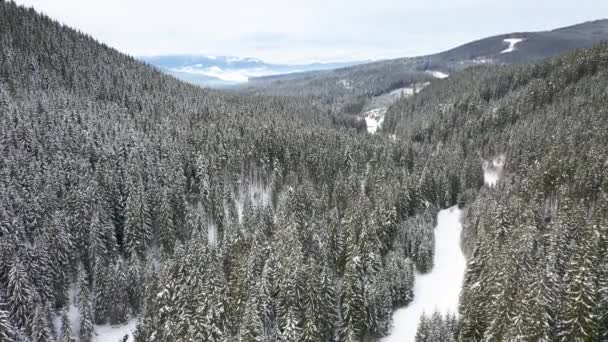 Montanhas nevadas e florestas retiradas do drone do ar — Vídeo de Stock