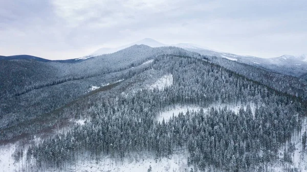 Mount Hood coberto de neve de inverno, Tiro do ar — Fotografia de Stock