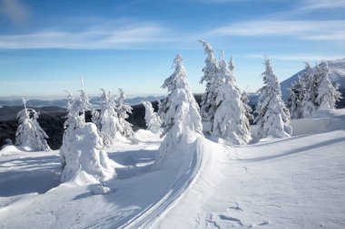 Bukovel kış. Karla kaplı dağ zirveleri. Ukraynalı Karpatlar.
