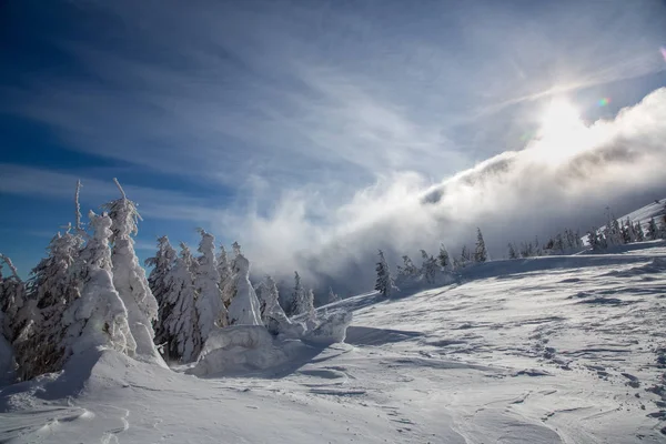 Bukovel no inverno. picos de montanha cobertos de neve. Cárpatos ucranianos . — Fotografia de Stock