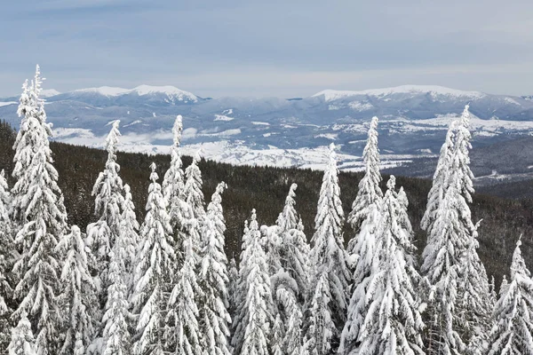 Bukovel no inverno. picos de montanha cobertos de neve. Cárpatos ucranianos . — Fotografia de Stock