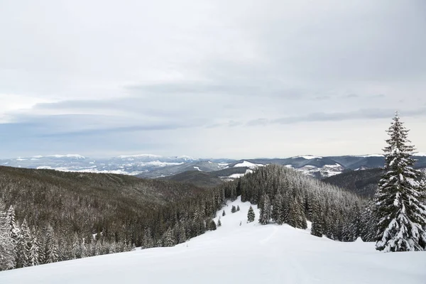 Bukovel no inverno. picos de montanha cobertos de neve. Cárpatos ucranianos . — Fotografia de Stock