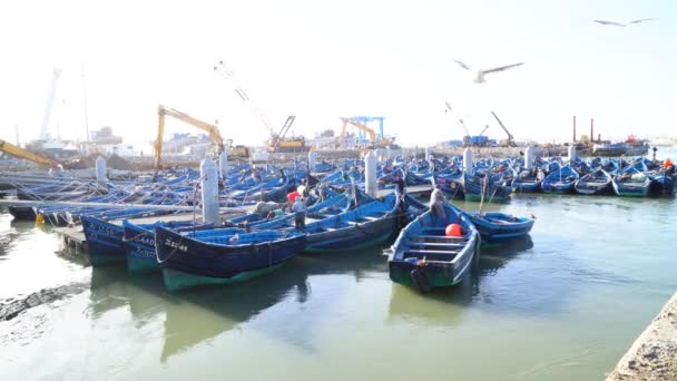 Modré rybářské lodě v přístavu Essaouira, Maroko, 4k — Stock video
