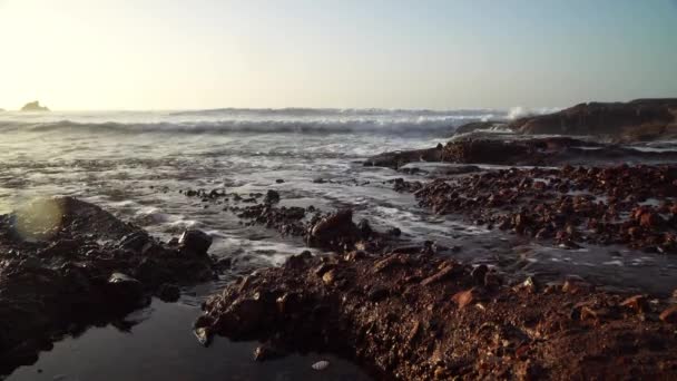 Perfekta vågorna bryter framför den steniga stranden av den marockanska öknen - Atlanten Afrika — Stockvideo