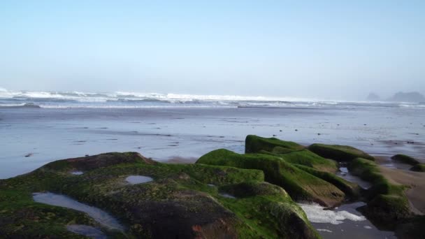 Perfekta vågorna bryter framför den steniga stranden av den marockanska öknen - Atlanten Afrika — Stockvideo