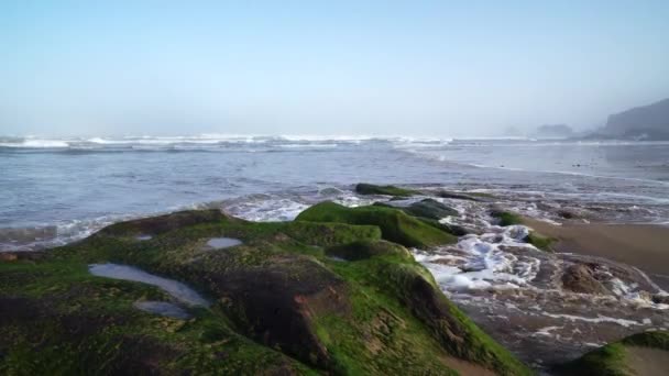 Perfect waves are breaking in front of the rocky shore of the desert of Morocco - Atlantic Ocean Africa — Stock Video