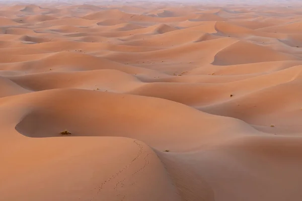 Lever de soleil sur les dunes de sable, Sahara Dunes de sable africa marocco — Photo