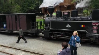 Transilvanya, Romanya - Cca. 1940: Romanya'da dar bir demiryolu treni.