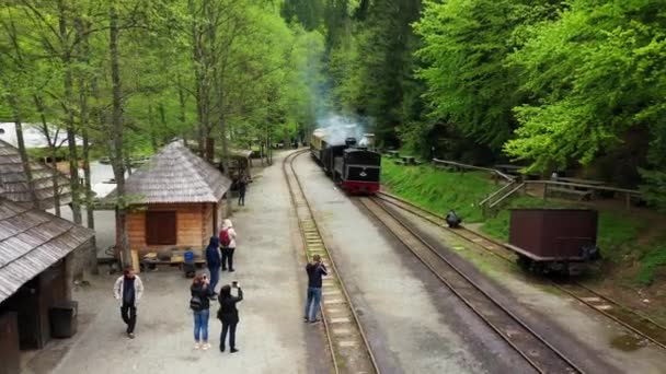 Transylvania, Romania - CCA. 1940: A narrow gauge railway train in Romania. — Stock Video