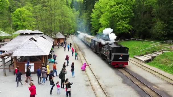 Transilvania, Rumania - CCA. 1940: Un tren de vía estrecha en Rumania . — Vídeos de Stock