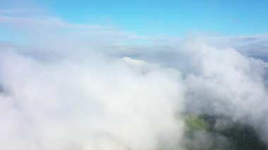 Muhteşem bir yağmur ormanı üzerinde uçan, gün doğumunda sis ile yağmur ormanı üzerinde havadan görünümü. 4k havadan video,