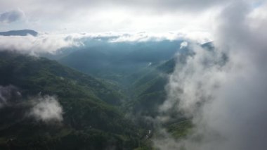 Muhteşem bir yağmur ormanı üzerinde uçan, gün doğumunda sis ile yağmur ormanı üzerinde havadan görünümü. 4k havadan video,