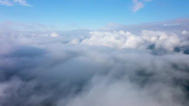 Muhteşem bir yağmur ormanı üzerinde uçan, gün doğumunda sis ile yağmur ormanı üzerinde havadan görünümü. 4k havadan video,