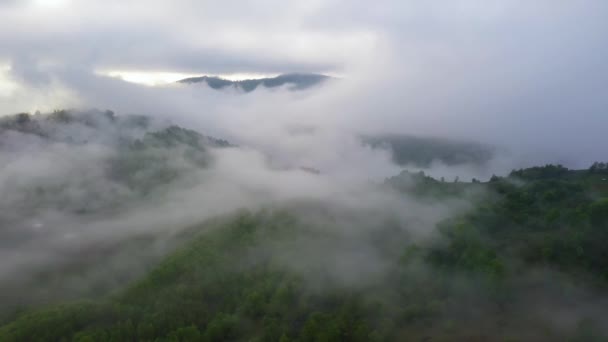 Terbang di atas hutan hujan yang menakjubkan, pandangan udara di atas hutan hujan dengan kabut saat matahari terbit. 4K video udara , — Stok Video