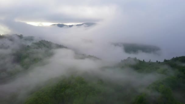 Muhteşem bir yağmur ormanı üzerinde uçan, gün doğumunda sis ile yağmur ormanı üzerinde havadan görünümü. 4k havadan video, — Stok video
