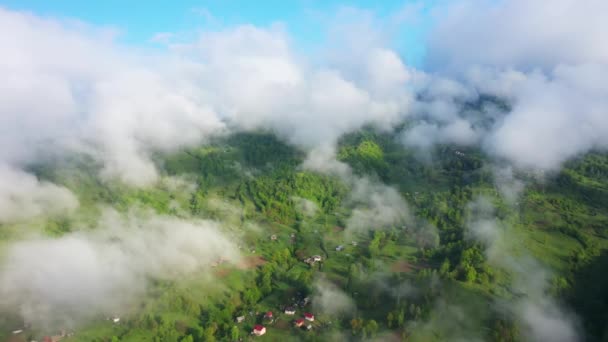 Літаючи над дивовижним дощовим лісом, вид з повітря над дощовим лісом з туманом на сході сонця. Повітряне відео 4K , — стокове відео