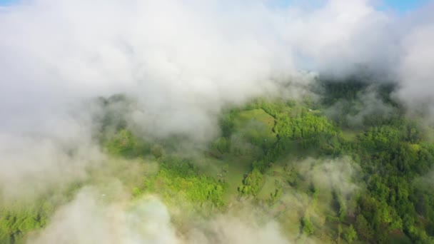 Voando sobre uma incrível floresta tropical, vista aérea acima da floresta tropical com nevoeiro ao nascer do sol. Vídeo aéreo 4K , — Vídeo de Stock