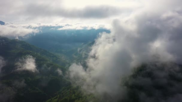 Volando sobre una increíble selva tropical, vista aérea sobre la selva tropical con niebla al amanecer. Vídeo aéreo 4K , — Vídeos de Stock