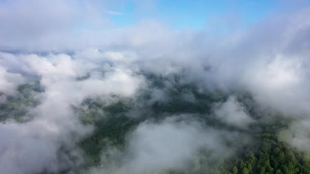 Sorvolando una straordinaria foresta pluviale, vista aerea sopra la foresta pluviale con nebbia all'alba. 4K video aereo , — Video Stock