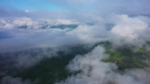 Πετώντας πάνω από ένα εκπληκτικό τροπικό δάσος, εναέρια θέα πάνω από το τροπικό δάσος με ομίχλη την αυγή. εναέρια βίντεο 4K, — Αρχείο Βίντεο