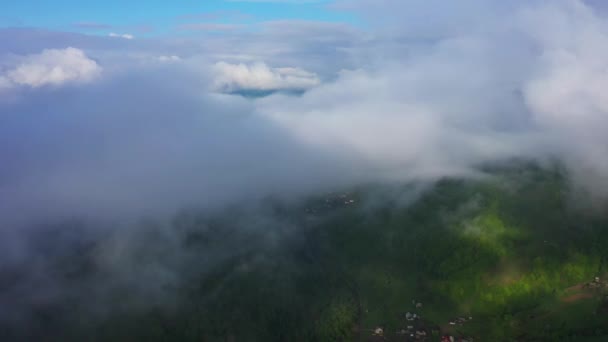 Flug über einen fantastischen Regenwald, Luftaufnahme über dem Regenwald mit Nebel bei Sonnenaufgang. 4k Antennenvideo, — Stockvideo