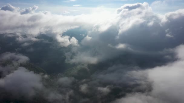 Літаючи над дивовижним дощовим лісом, вид з повітря над дощовим лісом з туманом на сході сонця. Повітряне відео 4K , — стокове відео