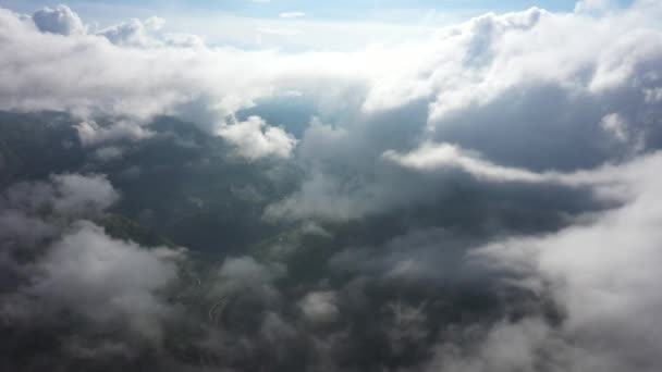 Volando sobre una increíble selva tropical, vista aérea sobre la selva tropical con niebla al amanecer. Vídeo aéreo 4K , — Vídeos de Stock