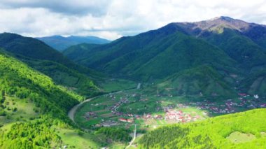 Yaz sonu güneş parlaması ile çam ormanları orman ve dağ vadisi üzerinde uçan. Havadan çekim - drone