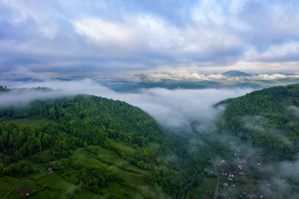 Список викопних птахів Cameron Highlands Malaysia. Ранковий підйом з туманом.. — стокове фото