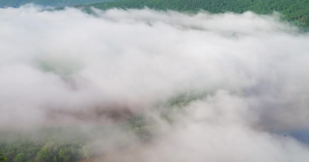 Tempo névoa lapso sobre o rio no desfiladeiro Dniester Ucrânia — Vídeo de Stock