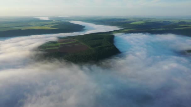 Letecký pohled na pole na kopci nad mraky, Letecký pohled na mlhu nad řekou při východu slunce, hustá mlha nad říčním vzduchem, mlha nad Dněstrem, řeka v ranní mlze, — Stock video