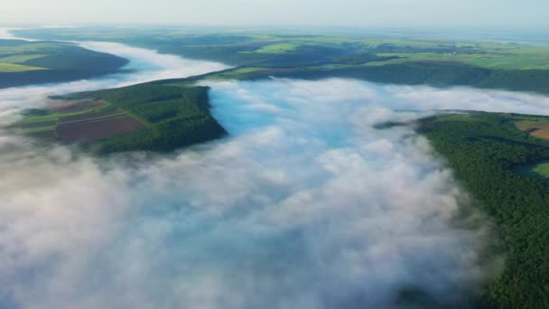Воздушный вид полей на холме над облаками, Воздушный вид на туман над рекой на восходе солнца, густой туман над речной антенной, туман над Днестром, река в утреннем тумане , — стоковое видео