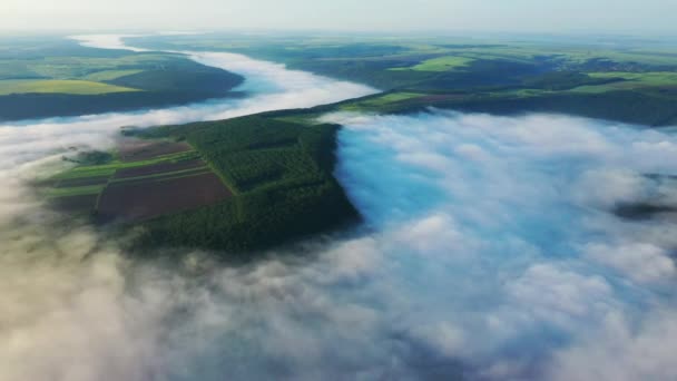 Vedere aeriană la câmpuri pe un deal deasupra norilor, vedere aeriană la ceață peste râu la răsărit, ceață groasă deasupra râului aerian, ceață peste Nistru, râu în ceața dimineții , — Videoclip de stoc