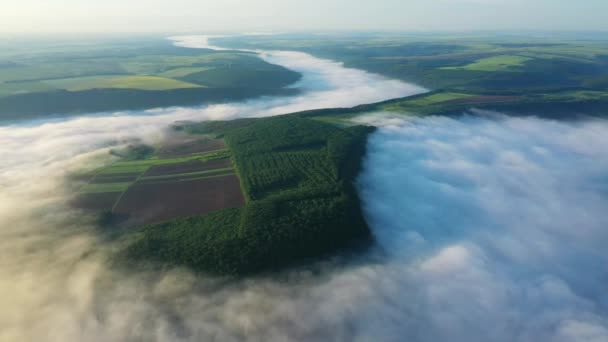 Vista aérea dos campos em uma colina acima das nuvens, vista aérea da névoa sobre o rio no nascer do sol, nevoeiro grosso sobre a antena do rio, nevoeiro sobre o Dniester, rio na névoa da manhã , — Vídeo de Stock