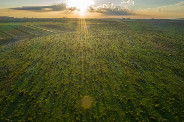 Aube le champ solaire, à travers le champ les rayons du soleil perçent — Photo