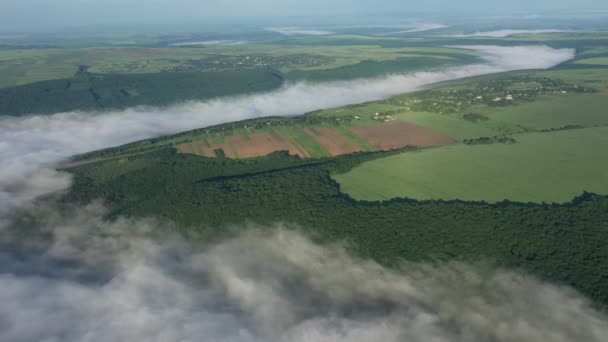 Vista aérea dos campos em uma colina acima das nuvens, vista aérea da névoa sobre o rio no nascer do sol, nevoeiro grosso sobre a antena do rio, nevoeiro sobre o Dniester, rio na névoa da manhã, nevoeiro no nascer do sol — Vídeo de Stock