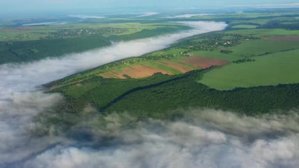 Воздушный вид на поля на холме над облаками, воздушный вид на туман над рекой на восходе солнца, густой туман над речной антенной, туман над Днестром, река в утреннем тумане, туман на восходе солнца — стоковое видео