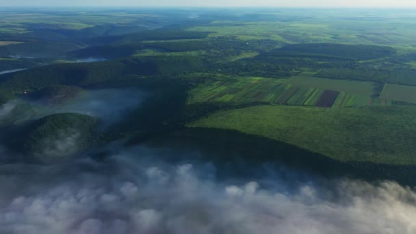 Vista aérea dos campos em uma colina acima das nuvens, vista aérea da névoa sobre o rio no nascer do sol, nevoeiro grosso sobre a antena do rio, nevoeiro sobre o Dniester, rio na névoa da manhã, nevoeiro no nascer do sol — Vídeo de Stock