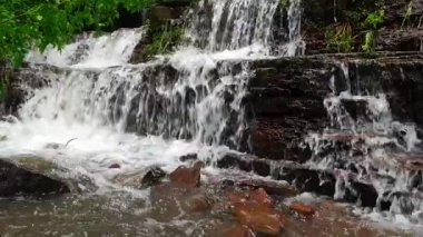 Dağ ormanlarında şelale kırık ağaca düşüyor