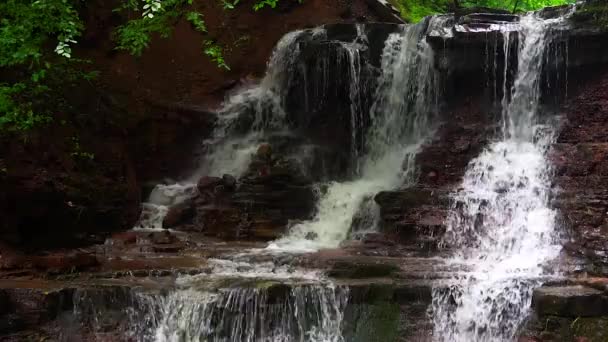 Cascada en el bosque de montañas cayendo al árbol roto — Vídeos de Stock