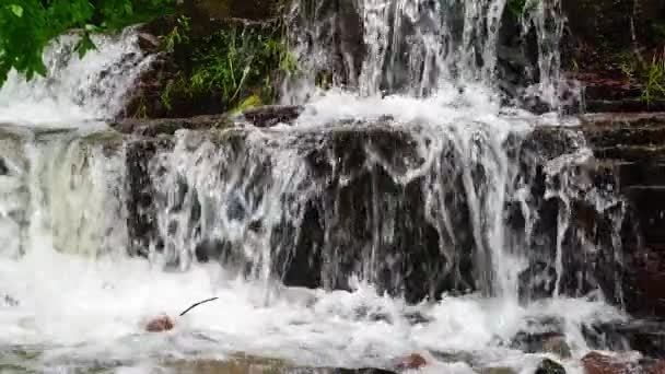 Cascada en el bosque de montañas cayendo al árbol roto — Vídeos de Stock