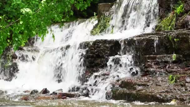 Wasserfall im Bergwald stürzt auf umgeknickten Baum — Stockvideo