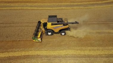 Hasat kırmızı ve mavi traktör yan görünümü, çiftçi tarlalarında sarı kolza Temizleme üreten. Hammadde tarım makinesinden kahverengi bir römork içine dökülür, ısı gelir